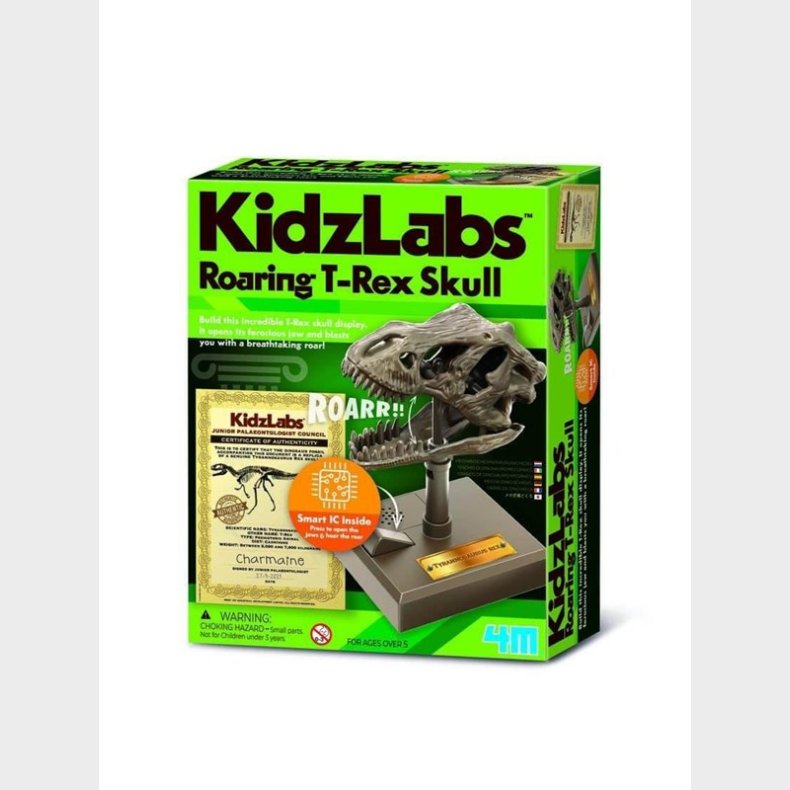 4M KIDZROBOTIX / ROARING T-REX SKULL