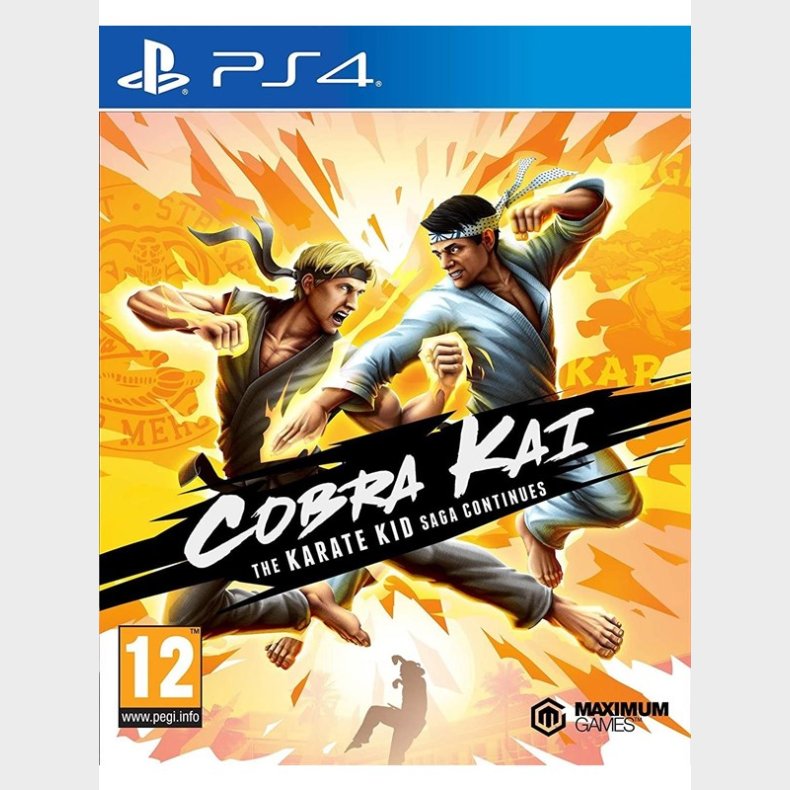 Cobra Kai: The Karate Kid Saga Continues - Sony PlayStation 4 - Kamp