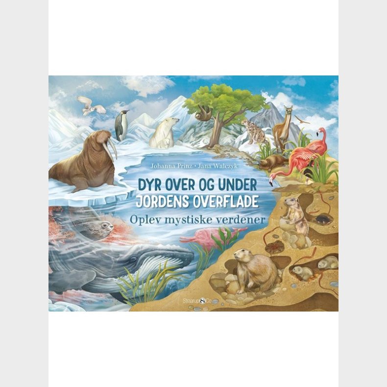 Dyr over og under jordens overflade - Brnebog - hardback