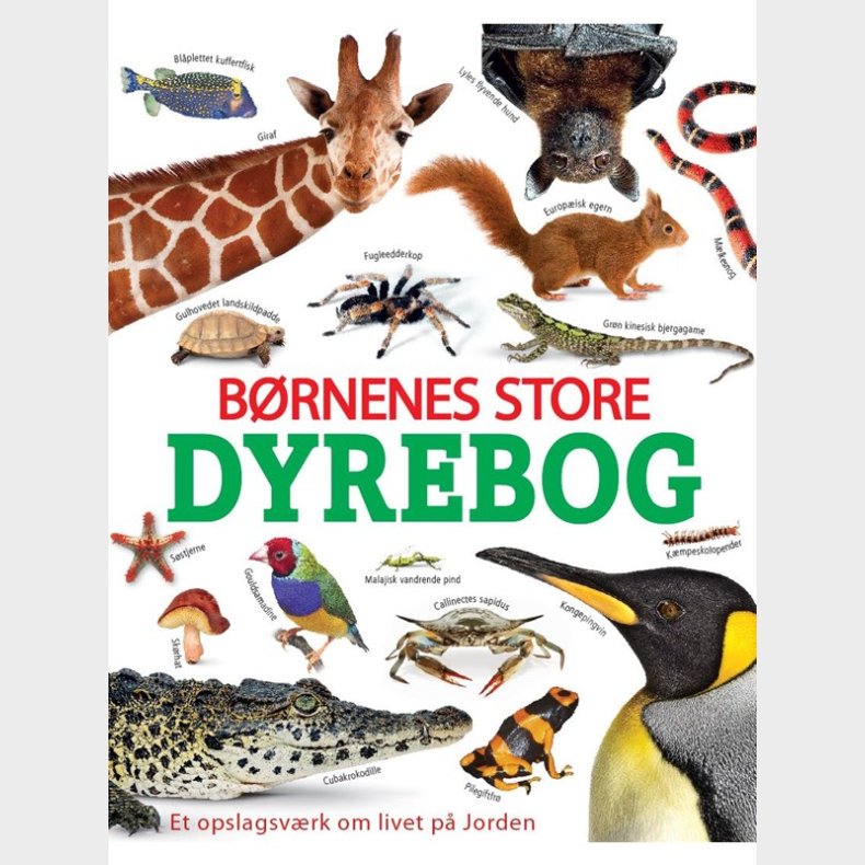 Brnenes store dyrebog - Brnebog - hardcover