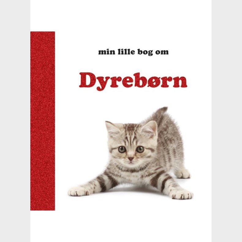 Dyrebrn - Brnebog - Board books