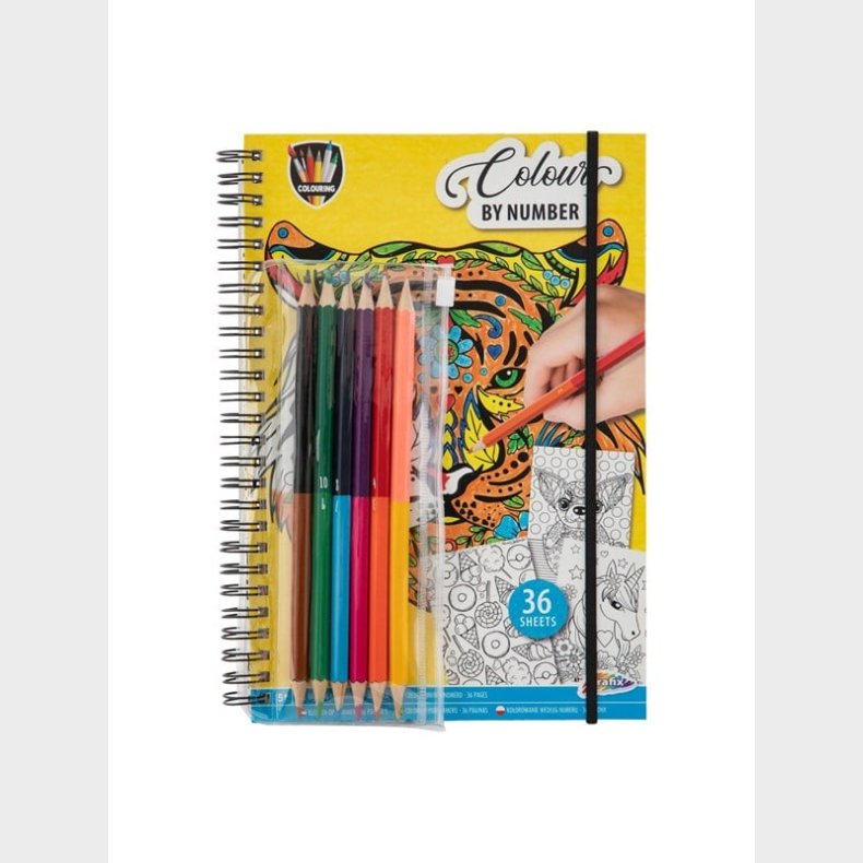 Grafix Color by Number Coloring Book with Crayons.