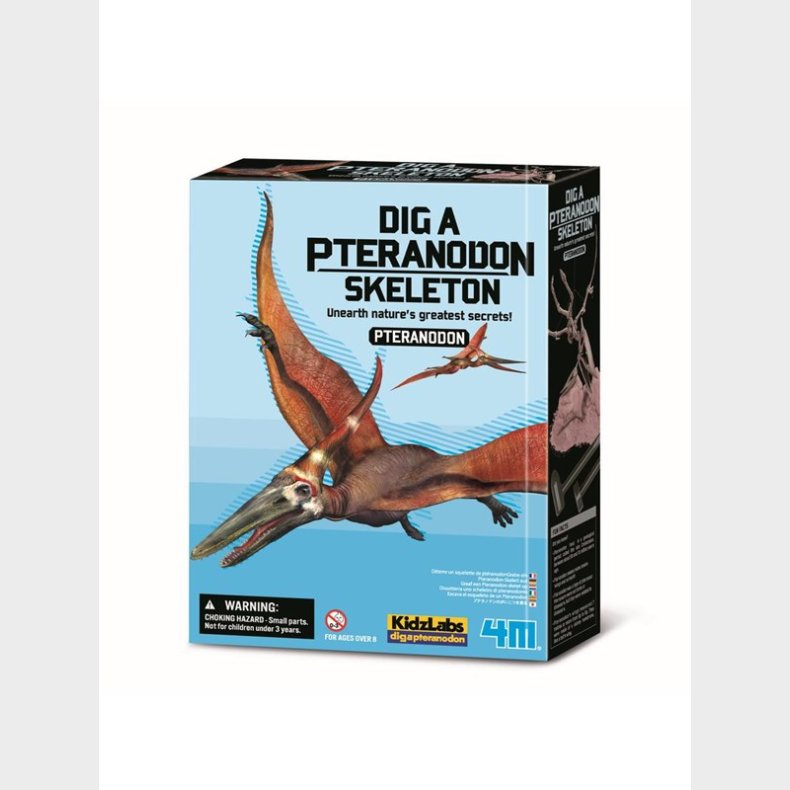 4M KidzLabs / Dig a Pteranodon skeleon