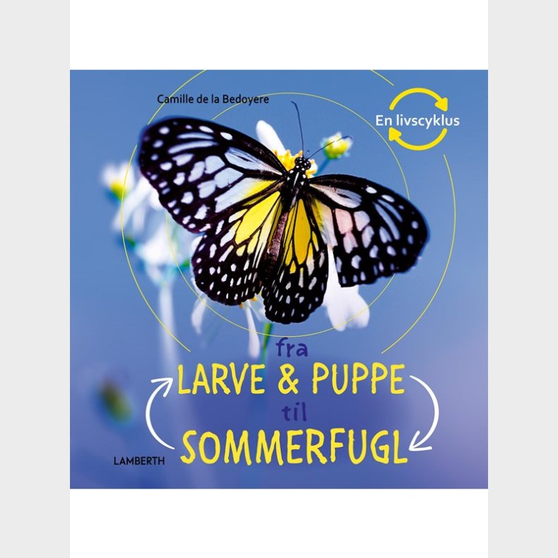 Fra larve og puppe til sommerfugl - Brnebog - hardcover