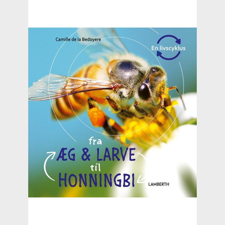 Fra g og larve til honningbi - Brnebog - hardcover