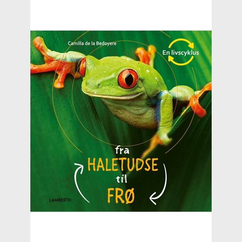 Fra haletudse til fr - Brnebog - hardcover