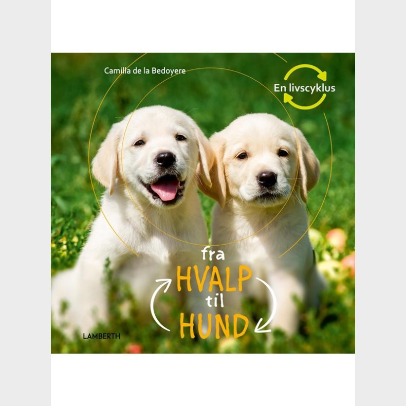 Fra hvalp til hund - Brnebog - hardcover