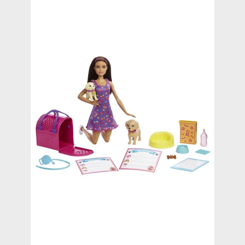 Barbie Doll And Accessories Pup Adoption Playset With Doll 2 Puppies And Color-Change