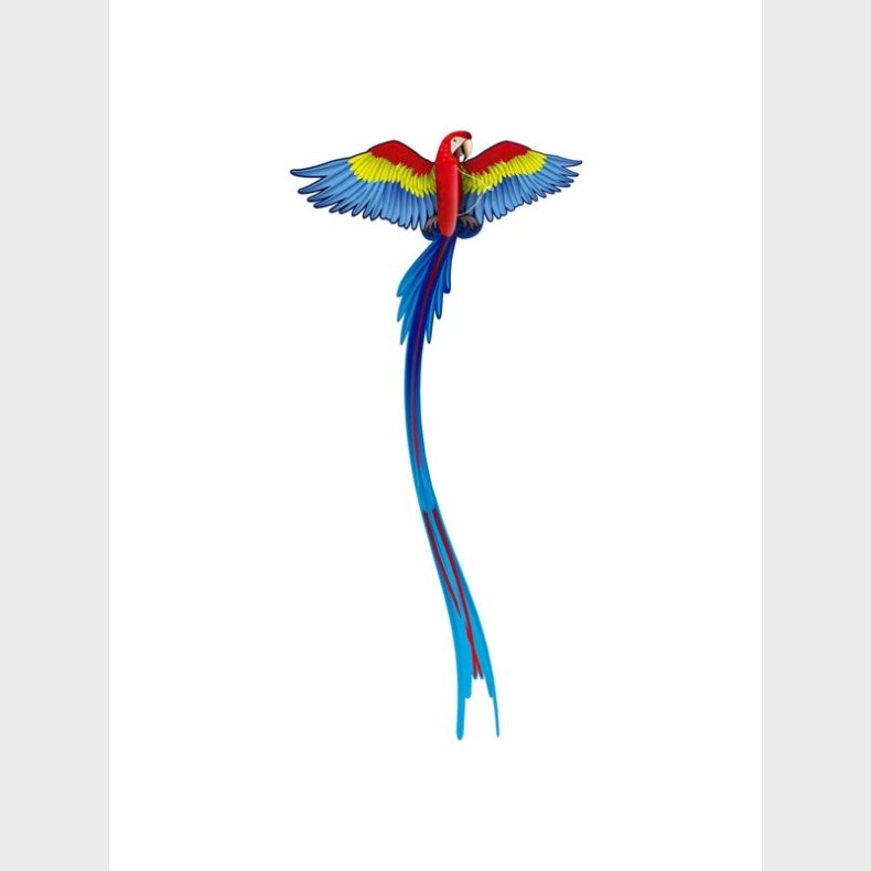 Kites Ready 2 Fly - Pop-up 3D Kite Parrot