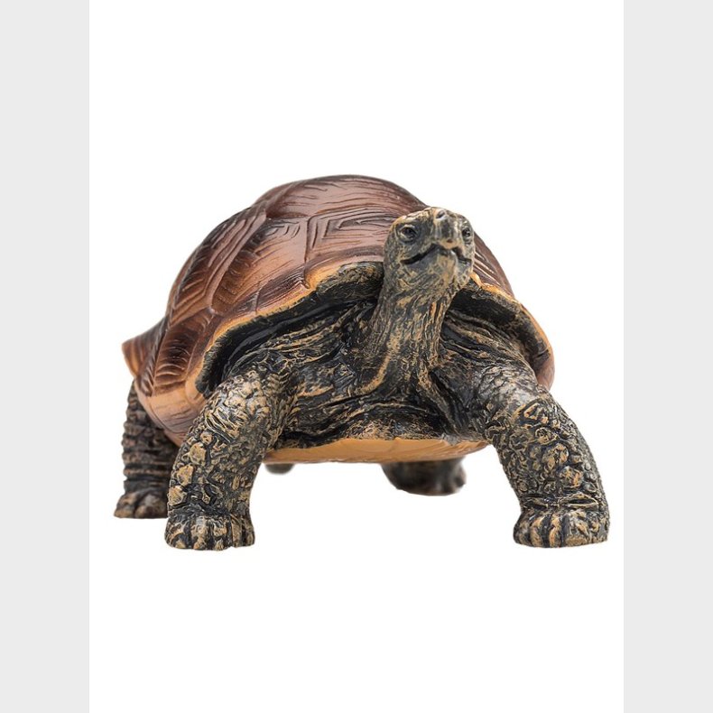 Mojo Wildlife Giant Tortoise - 387259