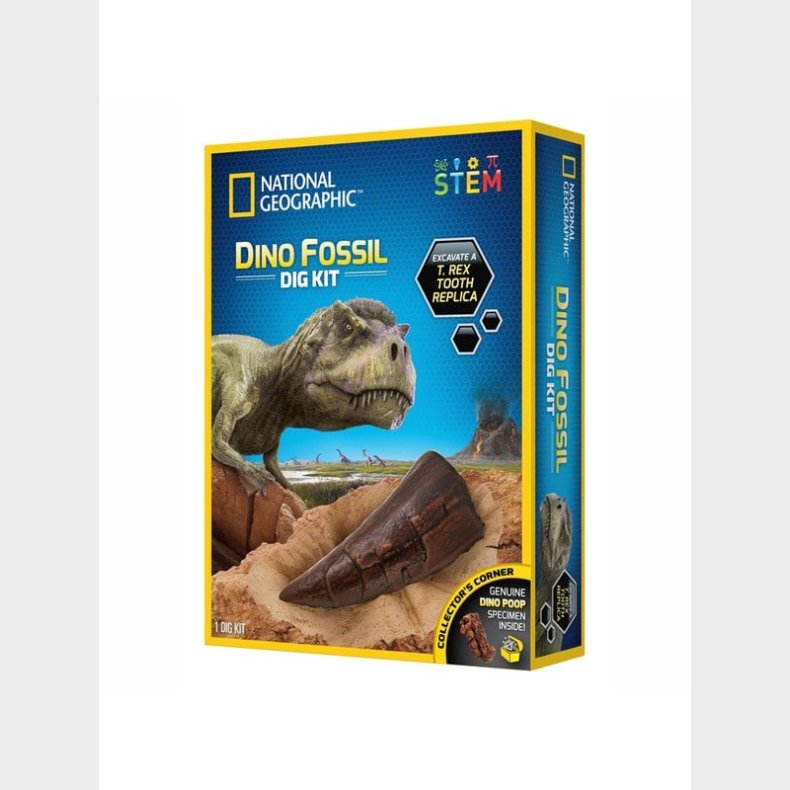 Boti National Geographic Dinosaur Count Set