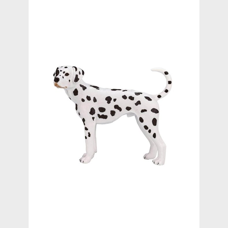 Mojo Farmland Dalmatian - 387248