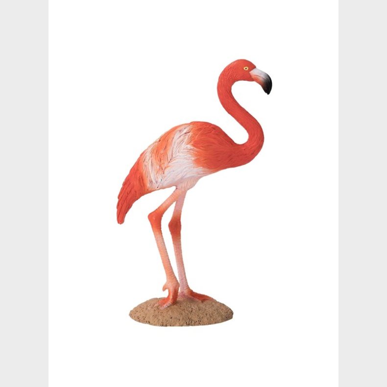 Mojo Wildlife American Flamingo - 387134