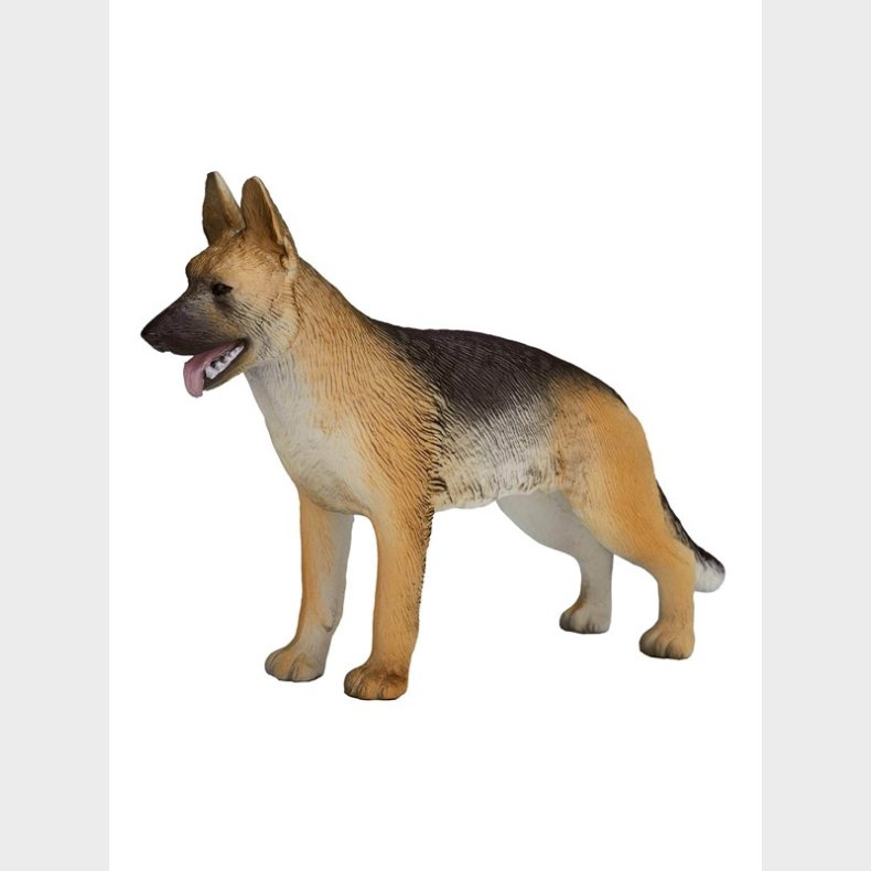 Mojo Farmland German Shepherd - 387260