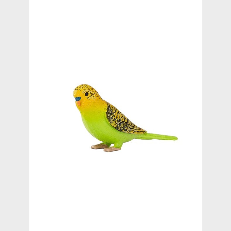 Mojo Farmland Budgerigar Green - 387262