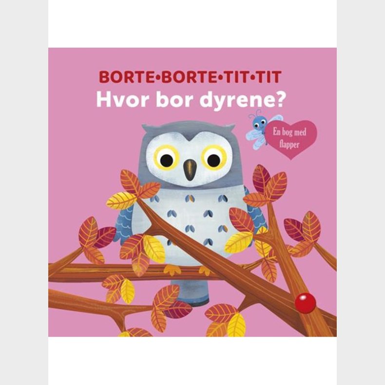 Borte-Borte-Tit-Tit: Hvor bor dyrene? - Brnebog - Board books