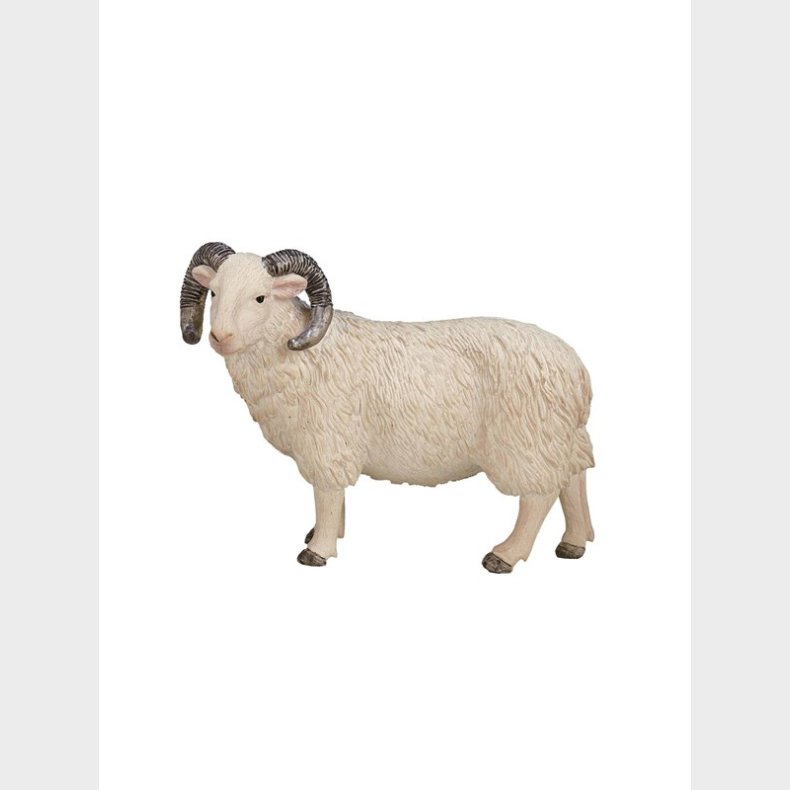 Mojo Farmland Sheep Ram - 387097