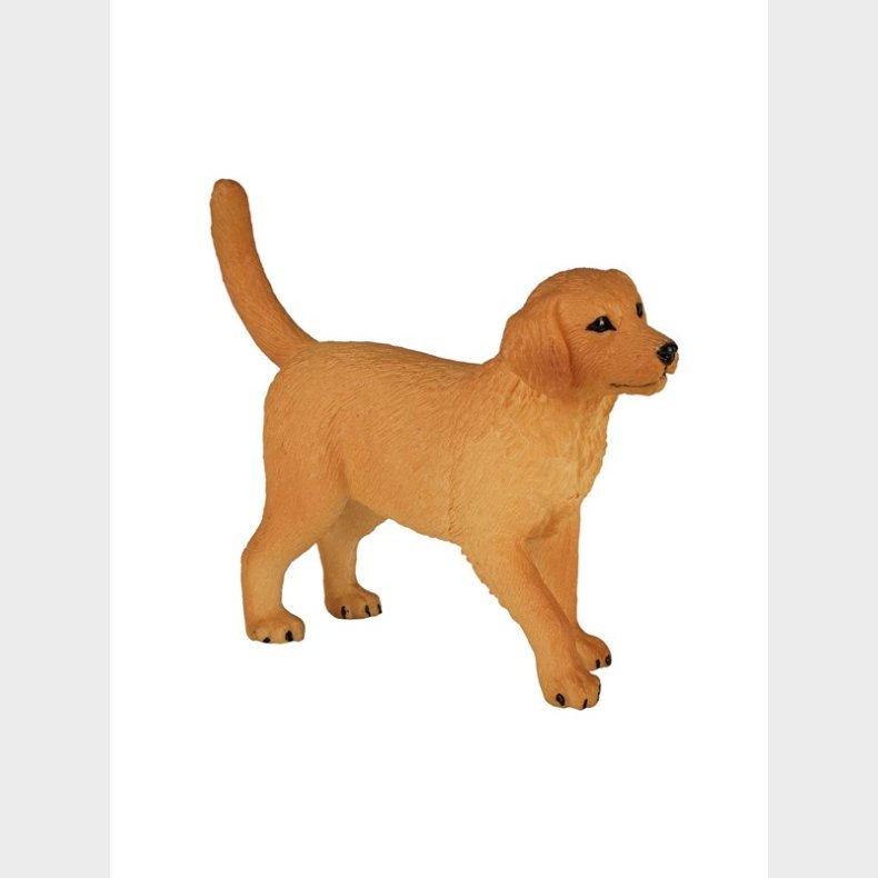 Mojo Farmland Golden Retriever Puppy - 387205