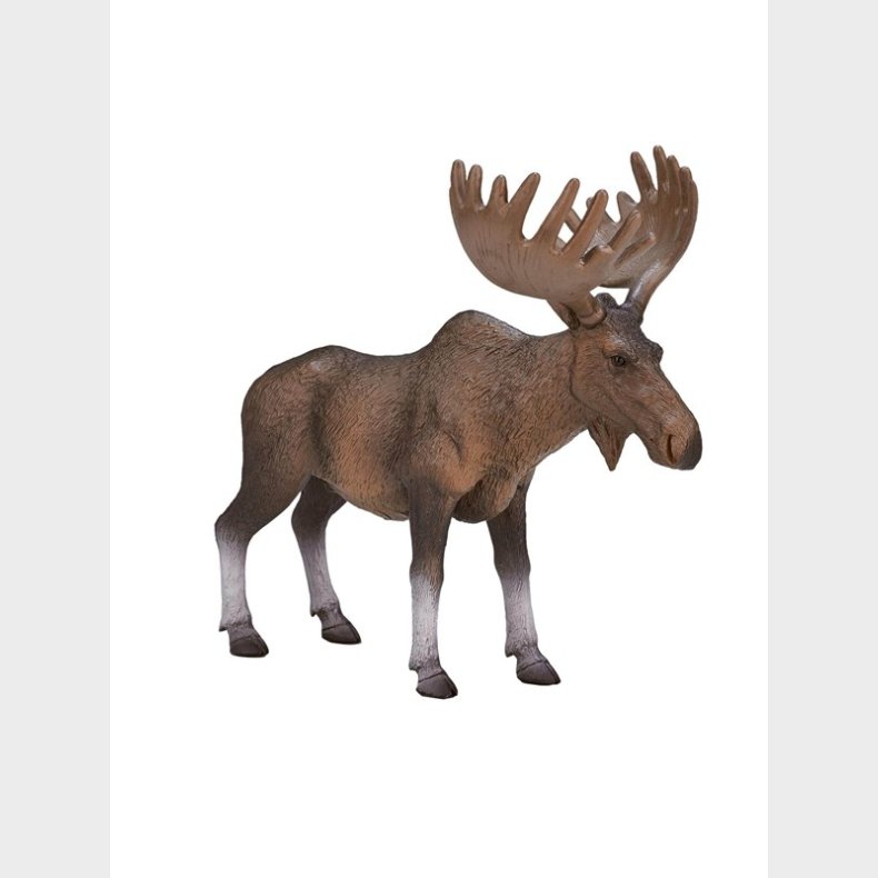 Mojo Wildlife European Elk - 387023