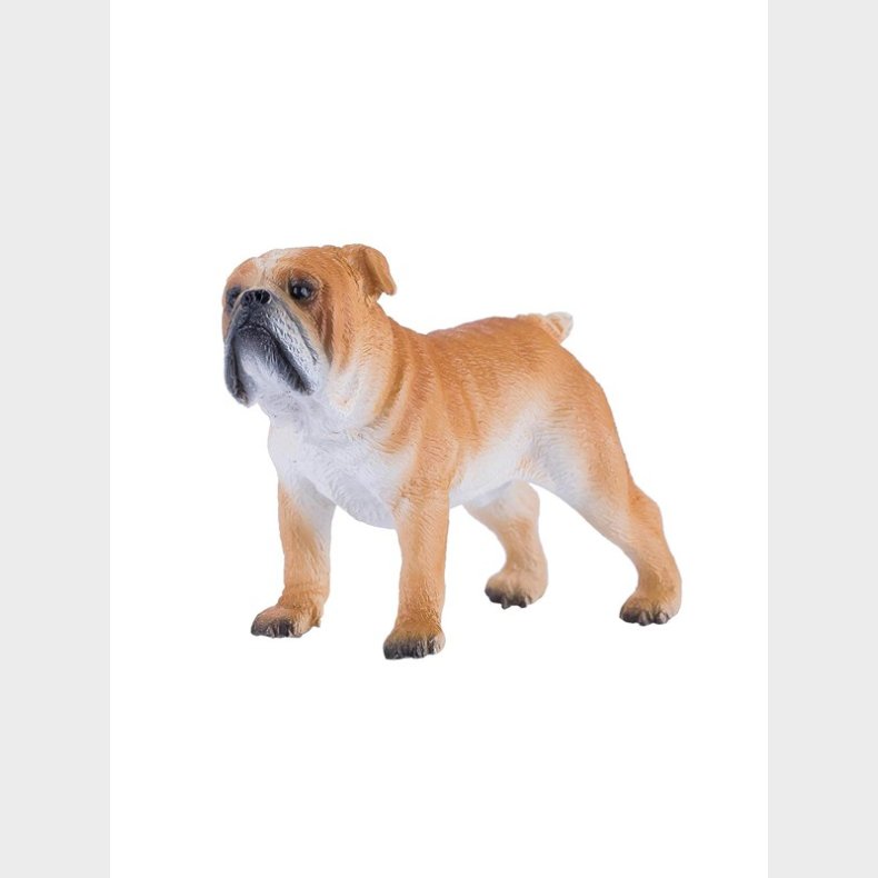 Mojo Farmland English Bulldog - 381053