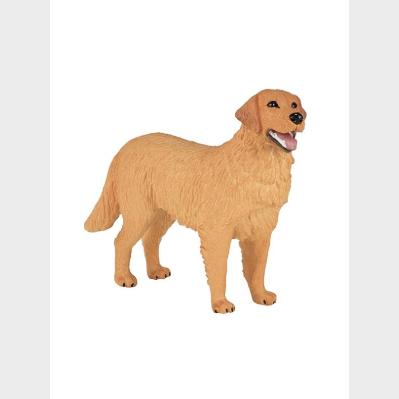 Mojo Farmland Golden Retriever - 387198