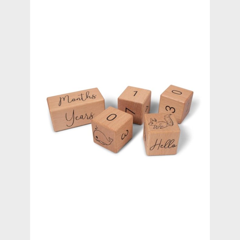 Filibabba Wooden age blocks