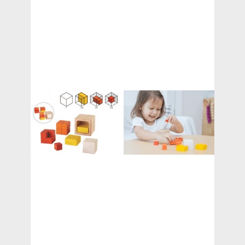 PLANTOYS Cubes