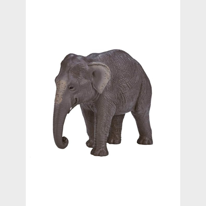 Mojo Wildlife Asian Elephant - 387266