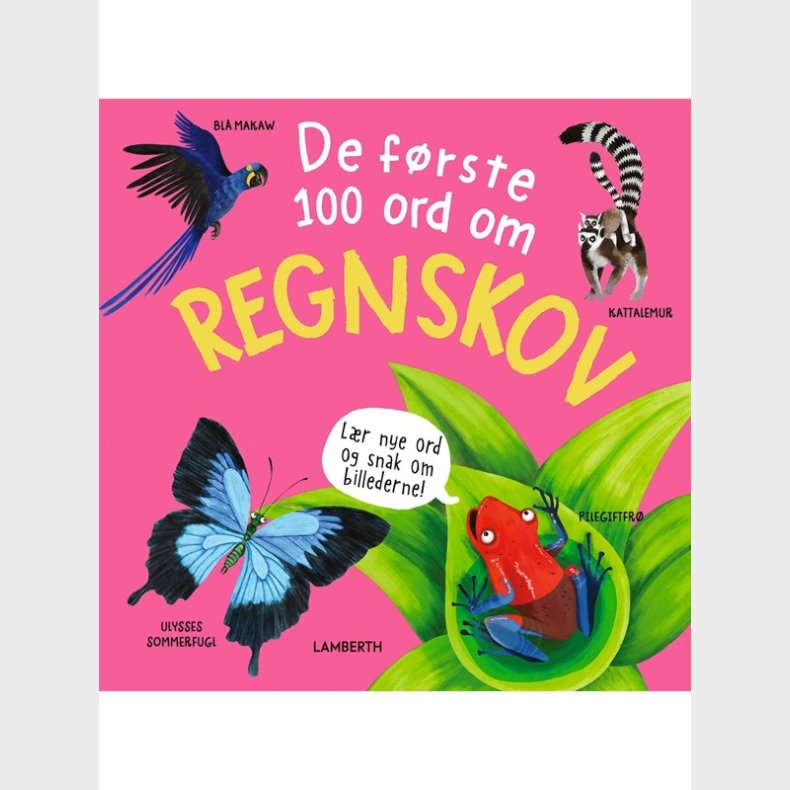 De frste 100 ord om regnskov - Brnebog - hardcover