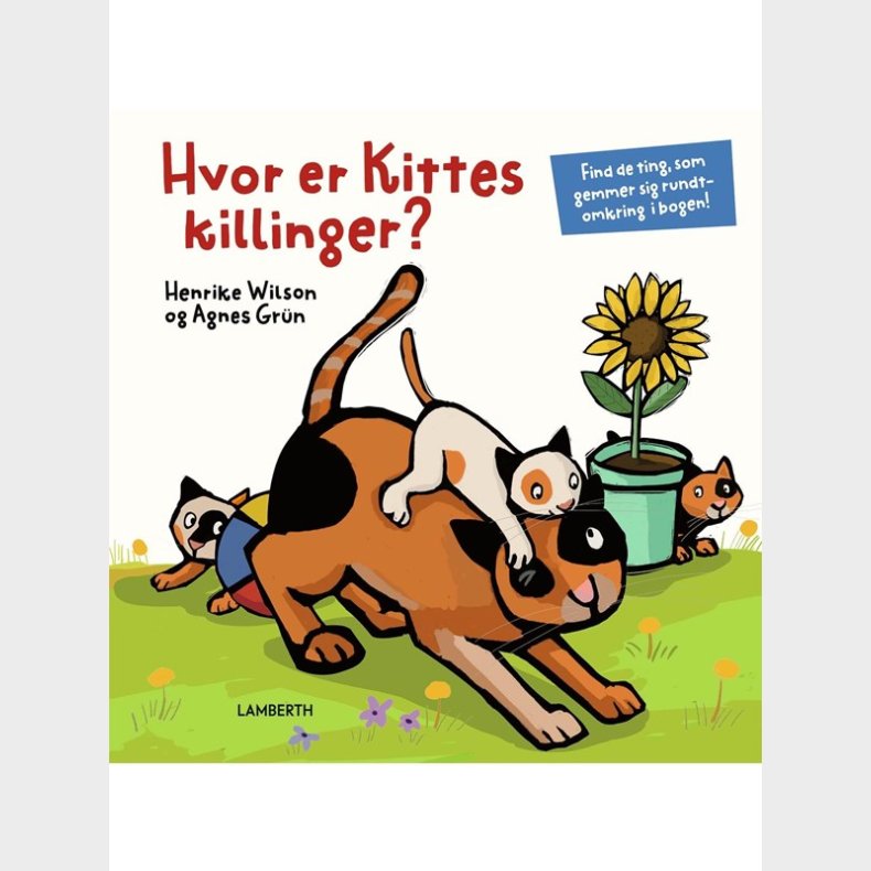 Hvor er Kittes killinger? - Brnebog - hardcover