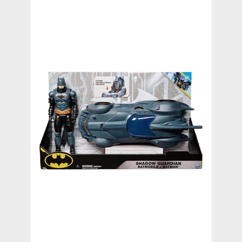 Batman &amp; DC Universe w. 30 cm Figure