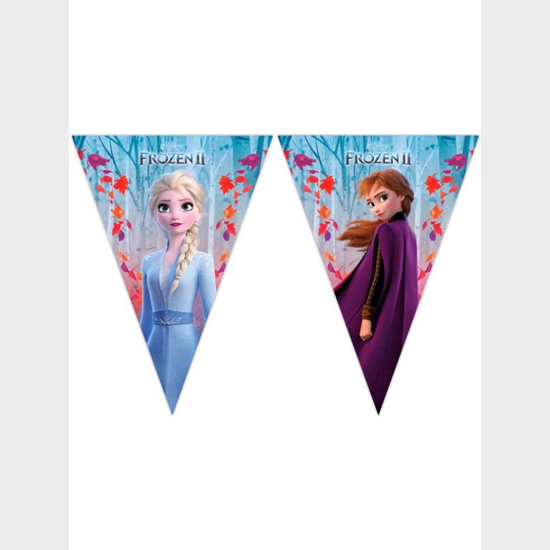 Folat BV Disney Frozen 2 Bunting 2mtr.