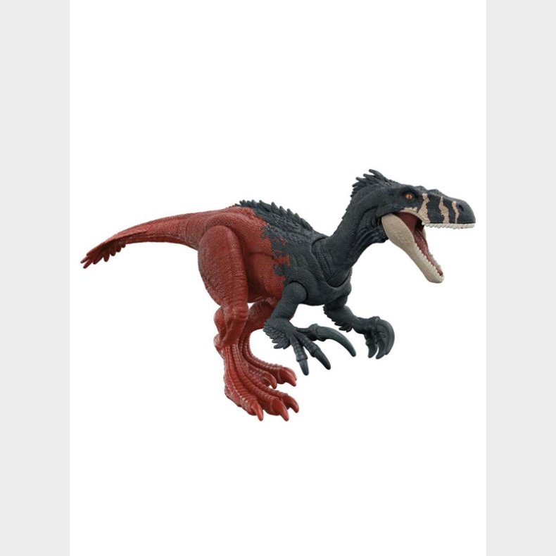 Jurassic World Dominion Roar Strikers Megaraptor Dinosaur Action Figure 33cm