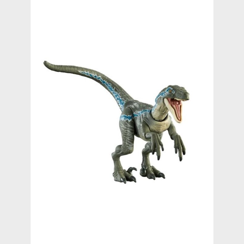 Jurassic World Hammond Collection Velociraptor Blue Dinosaur Figure 21cm