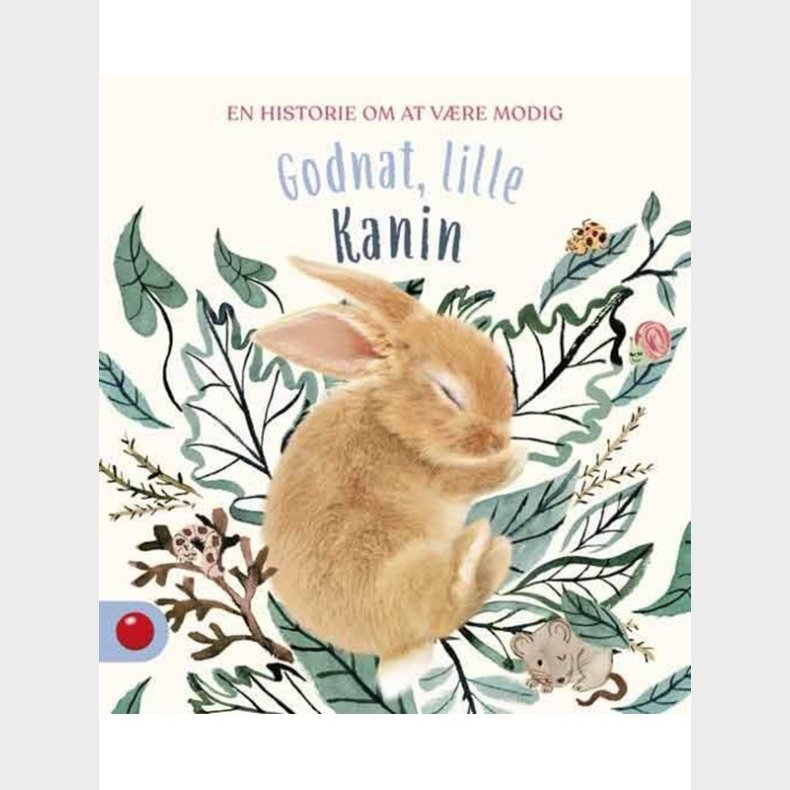 Godnat lille Kanin - Brnebog - hardcover