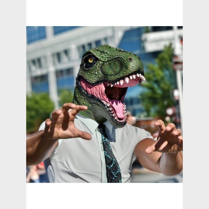 Mikamax Dinosaur Mask