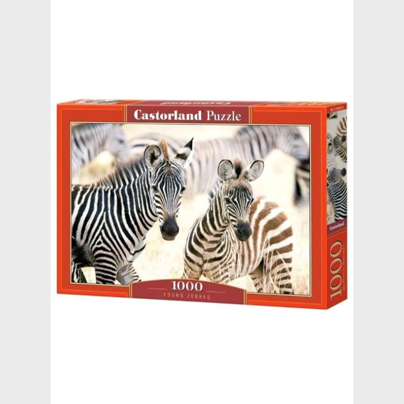 Castorland Unge zebraer