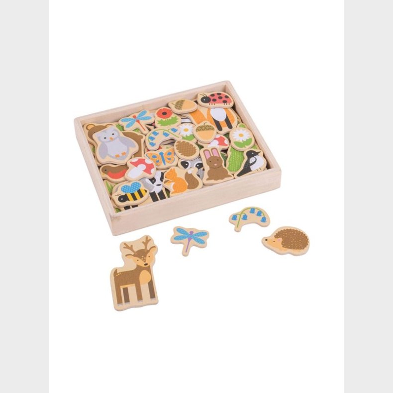 Bigjigs Wooden Magnets Bunch 35 pcs.